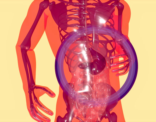 The Gut Microbiome: Key to Physical and Mental Health